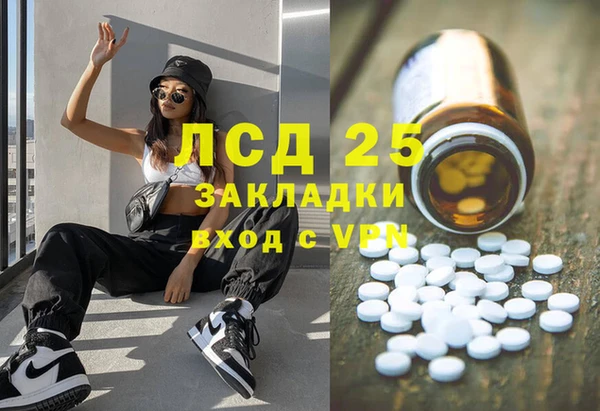 прущий лед Алзамай