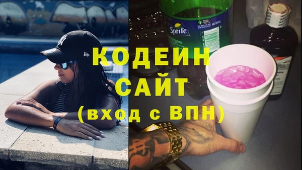 прущий лед Алзамай