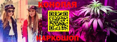 крисы Азнакаево