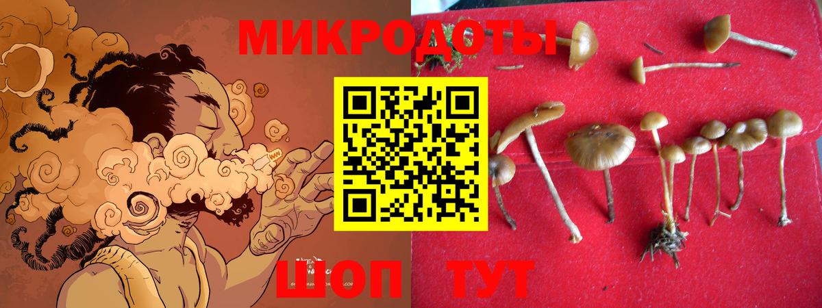 Псилоцибиновые грибы мицелий  купить   Октябрьский  Вход с VPN 