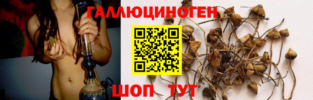Галлюциногенные грибы GOLDEN TEACHER  Вход с VPN  Октябрьский 